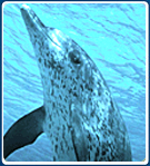 kidspage_img3a