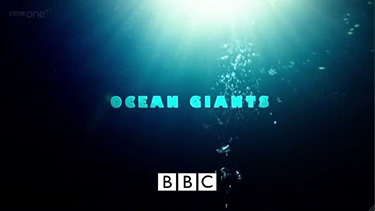 Ocean Giants