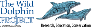 Wild Dolphin Project