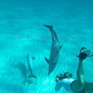 IMG_6196 2-watermarked