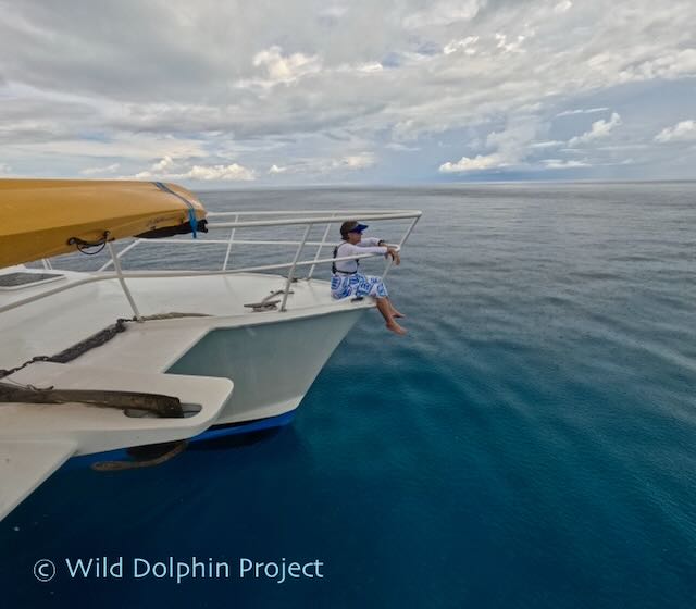 Denise Herzing on the R/V Stenella watching dolphins. 